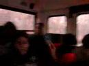 bus! bus!