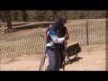 Big Bear Adventure [Battleground Earth: Tommy Lee vs. Ludacris]