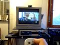 media center su acer veriton g5600
