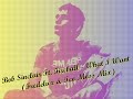 Bob Sinclair & Fireball - What I Want (Fredelux & Teo Moss)