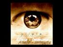 Allele - Immune
