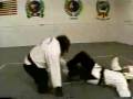 videos de Chimpancé Karateca