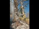 So you want to be a wildland Firefighter