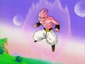 Pure evil, battle against Buu Pure evil, battle against Buu