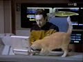 [Star Trek: TNG] Data\
