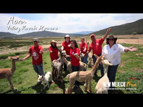 Statewide - The lyrics talk of the beauty all around New Mexico, so it is only logical that this time around singers from all around the state take turns belting out