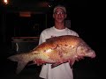 Bowfishing
