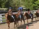 petit montage poney club blainville