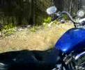 Harley-Starting