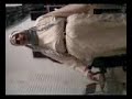 danse mezwed