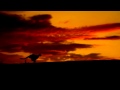 John Tejada - The Dream