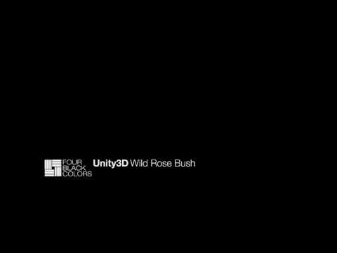how to transplant wild roses