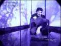 REM - The Sidewinder Sleeps Tonight