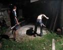 policias en accion