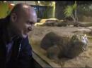 An interview with a Komodo Dragon An interview with a Komodo Dragon