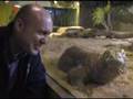 An interview with a Komodo Dragon