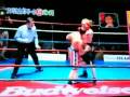 面白い映像