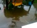 flooding in the back garden