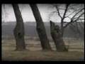 Mano juodoji sesuo - Amžinas ruduo