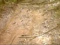 klx 400 helmet cam(1st attempt) klx 400 helmet cam(1st attempt)