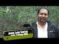 Reforestación: La mentira de Proárbol. 1a parte