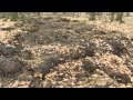 Floods & droughts video