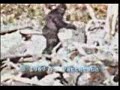 Bigfoot missing link between man and Guy Code