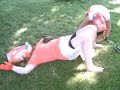 X-Treme Boxing
