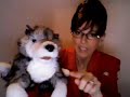 sarah palin has championed the aerial killing of wolves in alaska.  a wolf pup manages to get beyond the secret service guarding sarah palin by sharing his personal sob story about how his father was killed due to palin's cruelty.

mccain choice for vp gov. palin is no good news to friend of animals. hunter and national rifle ass. member, she was sued by bush administration for delisting polar bears from list of protected animals.ex major of small alaskan town of just 100.000 people, palin went higher in her political ambition than she should. gov. has already a lawsuit with defenders of wildlife that resulted in superior court ruling no authority for what she did -institute $150.00 bounty for killed wolfs.
alaska has a law that allows wild life control killing from air - when no danger to people,other animals, etc.
gov. palin figure out prosperous business out of that challenged law - she and safari international legalize wolf hunt from air. this bill passed 8/26/08. that means that everyone from all over the globe can come to alaska to release anger problems and frustration by shooting wolves from helicopters and plains.
we have been campaigning and writing protest letters to sara palin, but some 100.000 e mail protests were not enough support to defend alaskan wolfs.
if u wont to help protect wolfs please send several words via e mail to gov. palin and let her know what do you feel about this cruelty. just one or to sentences, intelligent and down to point words will do. after all it is your right to contact all officials who are making decisions that impact our nation.
you can reach her at
www.gov.state.ak.us/govmail.php (her web address is currently blocked)
also visit
www.defenders.org/take-action/ here you can also send e mail to support paw act and end aerial hunting.