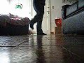 nico bailando electro