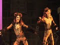 Mungojerrie
