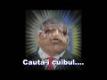 CALIN POPESCU TARICEANU - VIPERA ROMANILOR !