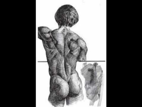 culitos calientes\'\