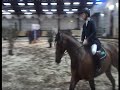 carambole saasveld