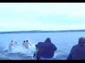 eskasoni polar bear swim