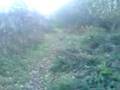 british countryside