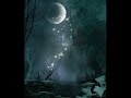 Fairy montage 2
