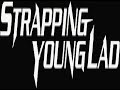 Happy Camper Strapping Young Ladyou pretentious fucking losersyou've got nothing at allyou've got your fingers in your assholeand your hand on the calland you talk such fucking horseshitthat it's hard to believethat you almost make careers out of being naiveyou, you are a fucker coz you sold my guitaryou, you are a fucker, seeking fortune in barsyou, you are a fucker, coz you say such stupid shitI've got a better line in pocket lintthan what you've done with itso if you are an asshole who pretends to be a friendthen get your ass in music, you'll be set to the end, ending,and now you've got the nerve to ask me about my temper?why yes, I have become a fucking happy camper!I hate your fucking faces and your trendy cut hair,I hate the fact you think your job will go anywherebecause it's use is just the same as what I shit into the bowljust like the mess between your ears is like the mess in my holeI hate your loser friends who only come out when it's rightI hate that when it's down you run instead of fightI'm set to think you lot in life to test the stronger oneswill just require some chicken shit and also sneakers for the run.I dig it away, the shit you puked instead of swallowed,in an attempt to try and find the dick instead of the load,so when you move and stand aside my mood will hamper,and yes, I will become a fucking happy camper!stuck in endless winter with your press to keep you sanewait for useless numbers to grow useful once againwhere the heat will come again, your flaw grows sick,your flaw will send, the shit you call your businessto the place that is your endstuck in the winter, cold and wet,your stupid friends have come and wentand you've left behind your idiot job,and it's far from a prize, you fucking dink...your'e a fucking dink... yeah!...how's this for punk? dink!!!...suck my cock, you pathetic excuse for a human being...you're a neurotic, homophobic, racist dork... you've also got a lotof balls to dick with someone else's life, you fucking pseudo ghetto