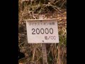 信州蓼科 横谷峡の乙女滝...