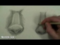 MASTER- Drawing the Female Nose (How to Draw Step by Step instruction)