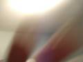 videos de Bitch Slap