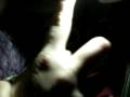 videos de New Years Freaks In welland Part 1
