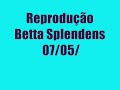 Reprodução de Bettas