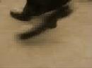 shoesnfeet.html