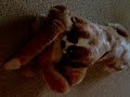 and,his,monkey