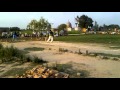 shadiwal crickt . crickt . shadiwal . kashi bila . jahangir_zee .mp4