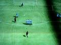 videos de golazo