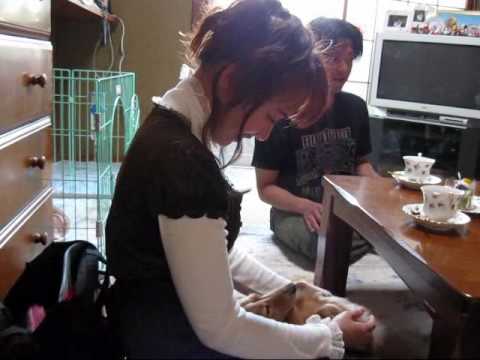 おかあさん　山本陽子 YOKO YAMAMOTO