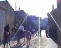 Scritti Sardi: L'Ardia di San Sebastiano a Giave