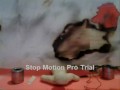 The Magician.wmv